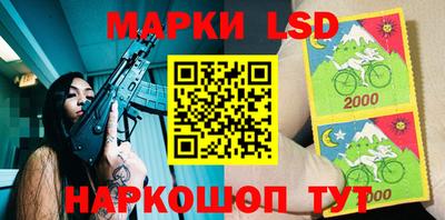 стафф Заволжье