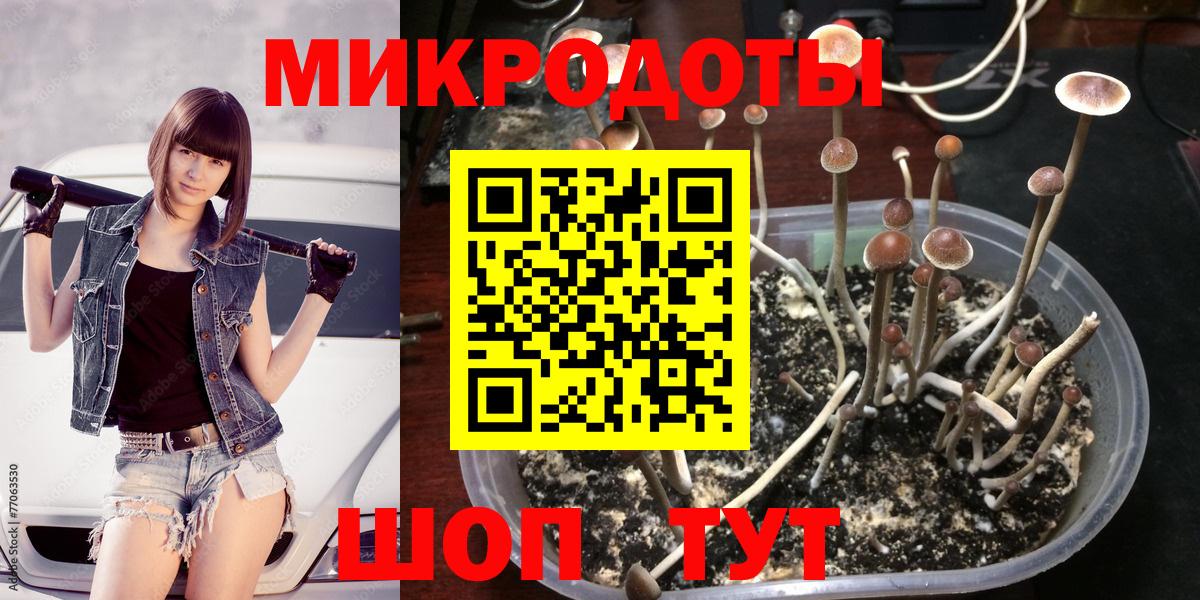 Галлюциногенные грибы мицелий  продажа наркотиков  Вход с VPN  Нижневартовск  Псилоцибиновые грибы ЛСД 